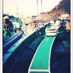 一郎丸、東京湾、いや、世界で一番カワハギを釣った日。52枚