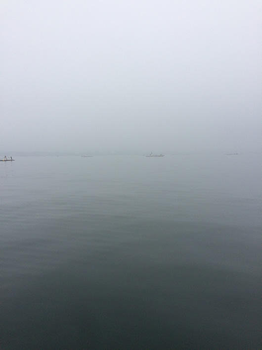 金田湾濃霧